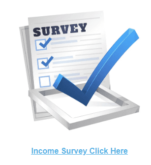 Income Survey check mark